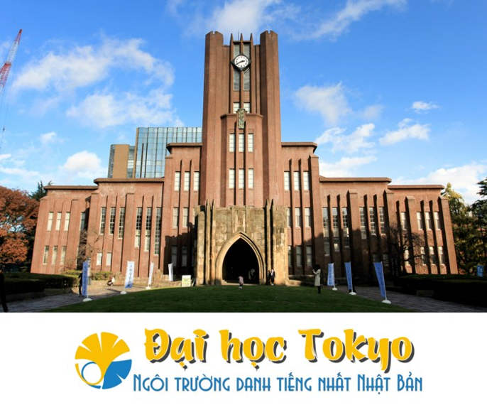Đại học Tokyo, cơ hội du học tại ngôi trường hàng đầu Nhật Bản 1