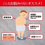 Chỉ số BMI là gì Người có BMI trên 25 nên giảm cân thế nào cho an toàn 1