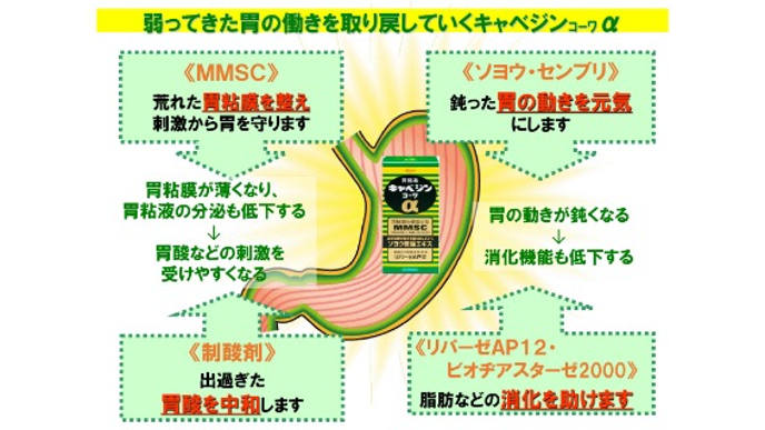 Viên uống hỗ trợ điều trị bệnh đau da dày Kyabejin Kowa α Nhật Bản 300v- www.Japanstore.vn 01