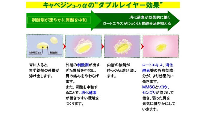 Viên uống hỗ trợ điều trị bệnh đau da dày Kyabejin Kowa α Nhật Bản 300v- www.Japanstore.vn 05